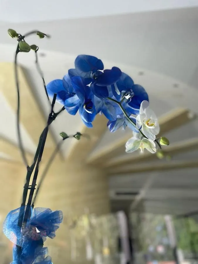 Oasi Park Hotel Mascali