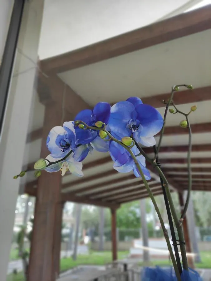 Oasi Park Hotel Mascali