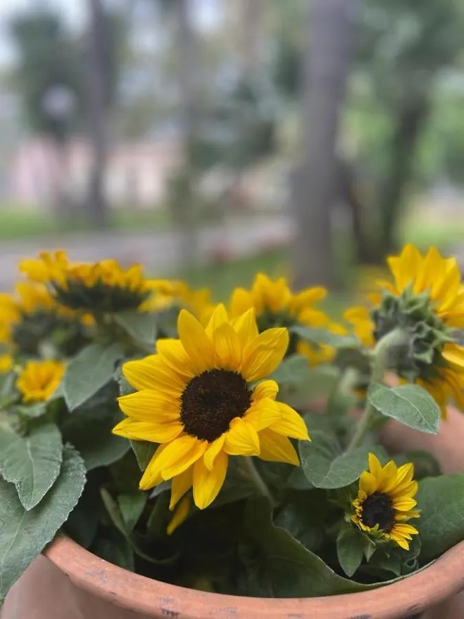 Oasi Park Hotel Mascali